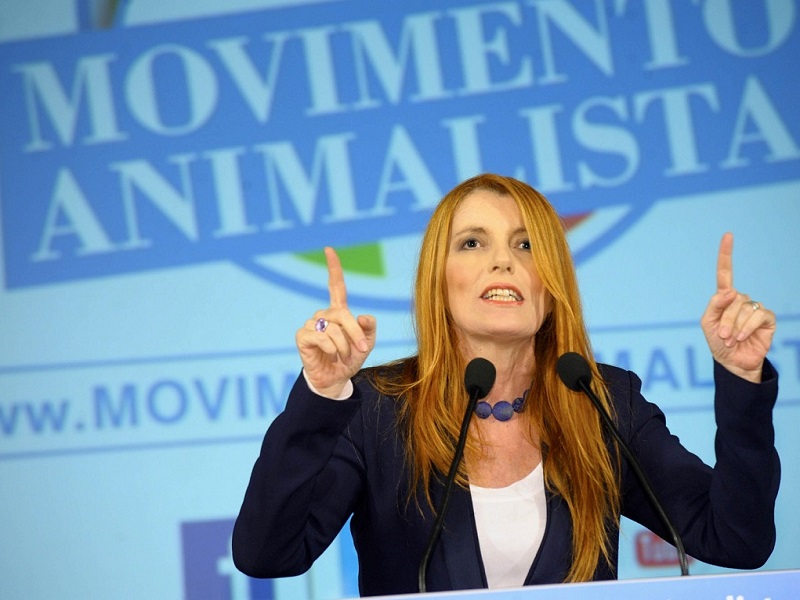Cagnolina morta, legata e chiusa in un sacco a Rende, Brambilla: "E' emergenza maltrattamenti"
