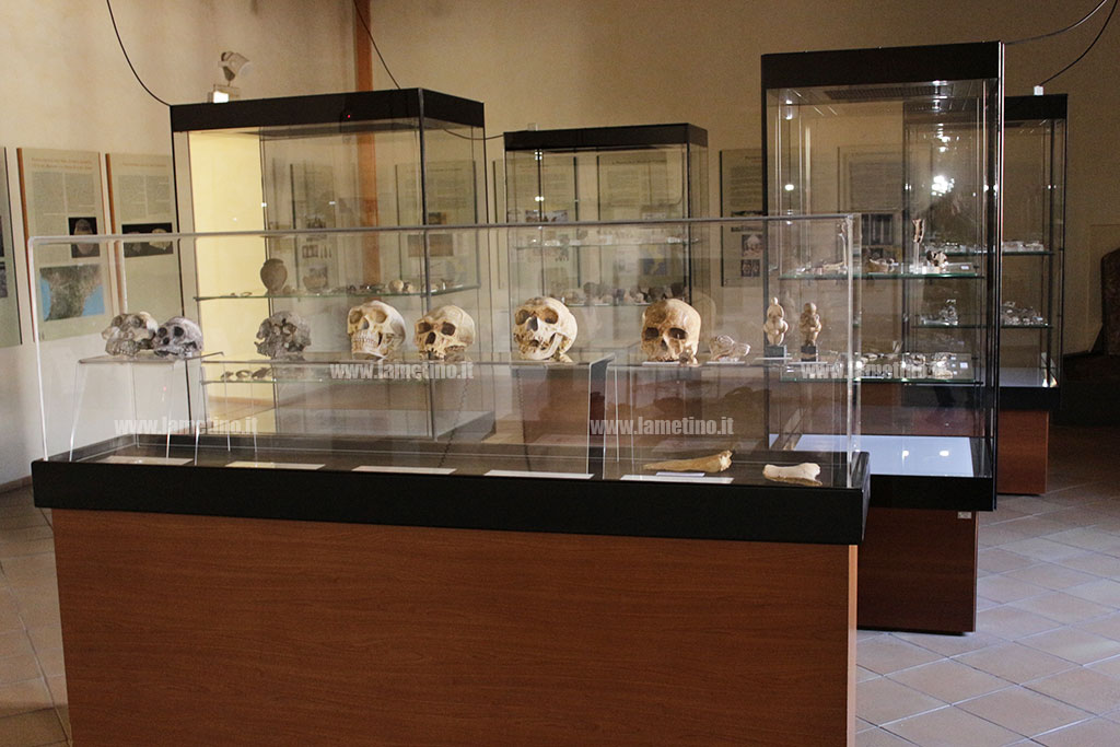 Museo-archeologico-lametino-intervista.jpg