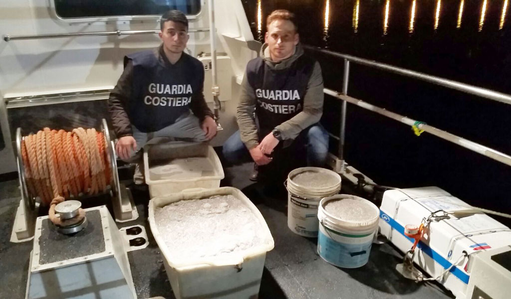 Sequestrati quasi 150 chili di bianchetto nel cosentino, multa da 12mila euro