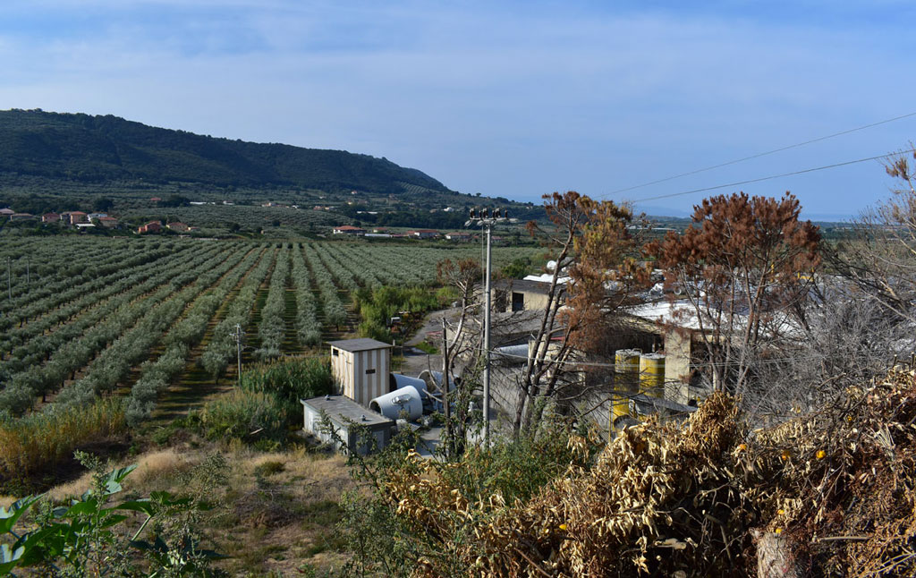 Cittadini di Curinga contro realizzazione centrale a bio-gas: "Progetto prevede il trattamento di 70.000 tonnellate annue di rifiuti"