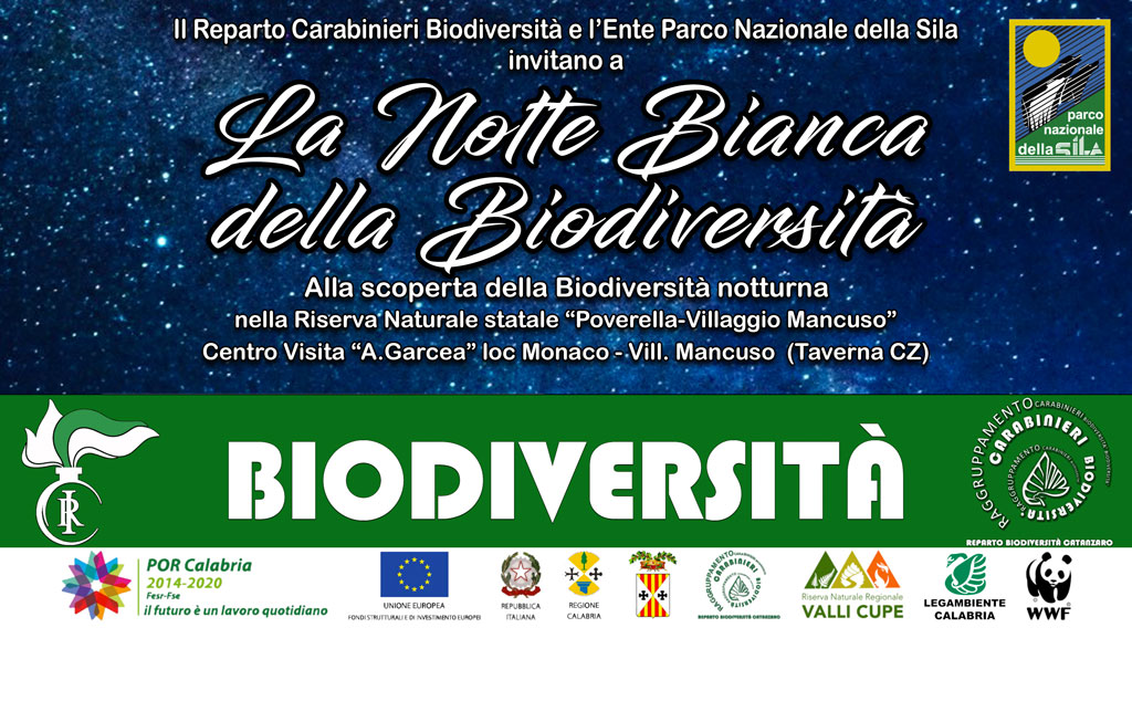 Notte-bianca-biodiversita-2020.jpg