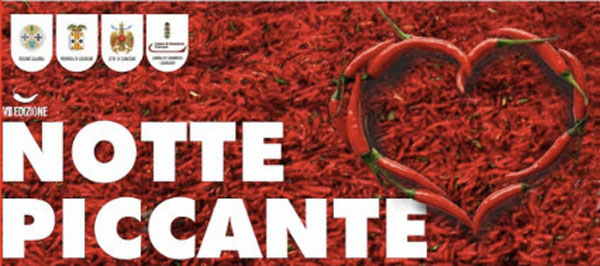 Notte-piccante-Cz-2014.jpg