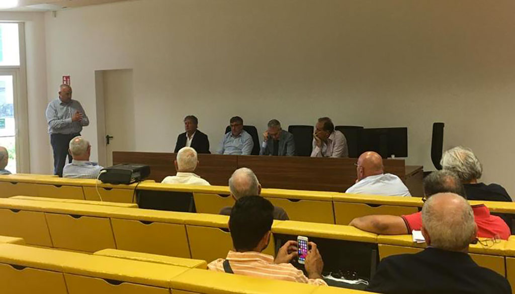 Regione, assessore Gallo: "L'olivicoltura al centro delle politiche di sviluppo agricolo"