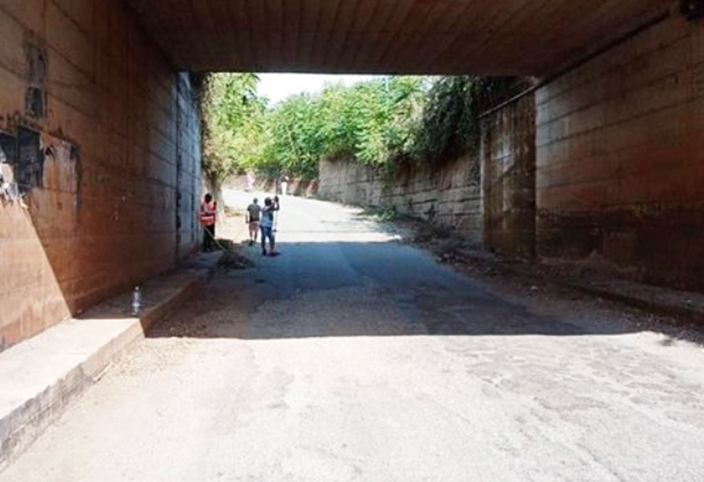 Lamezia, rifiuti abbandonati in via Dario Leone: cittadini ripuliscono strada