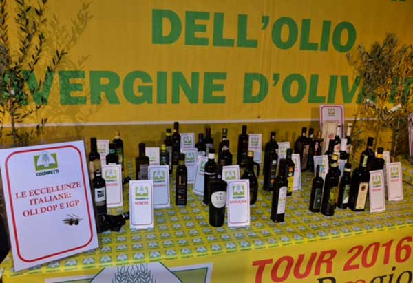 Coldiretti Calabria su produzione olio: "Crollo del 69% e import dai paesi africani, aumentare i controlli"