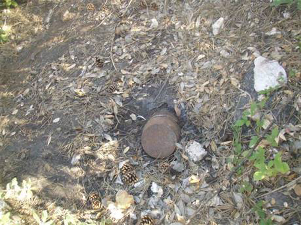Calabria: Ordigno seconda guerra mondiale trovato in Parco Pollino 