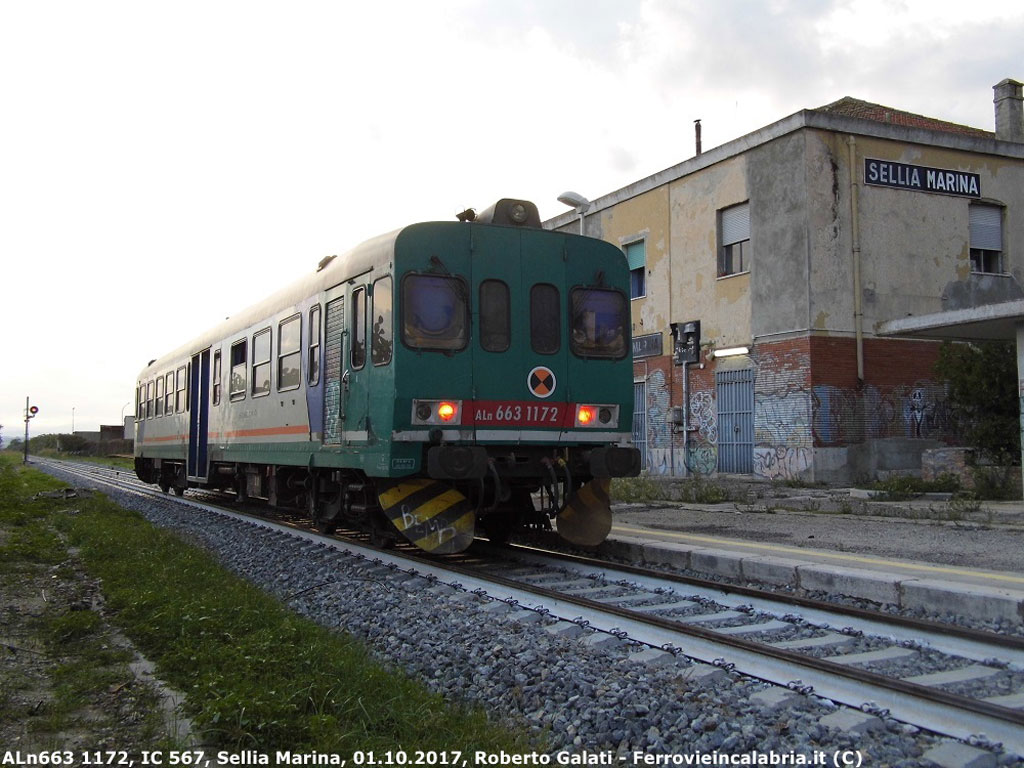 P1000224.jpg