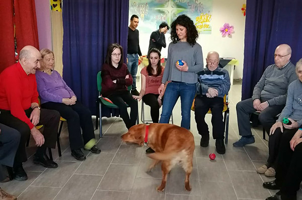Parte il percorso di "pet therapy" con il labrador Lady al centro diurno Ra.Gi. di Catanzaro