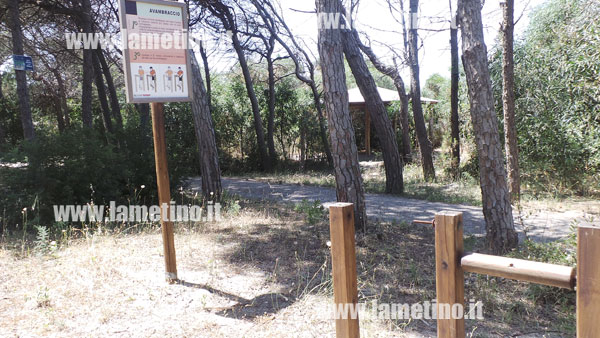 PIneta-cafarone-percorso.jpg