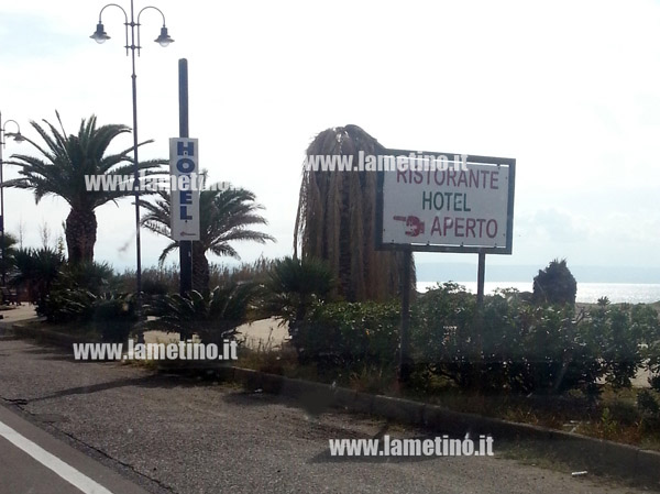 Palme-Falerna-bis.jpg