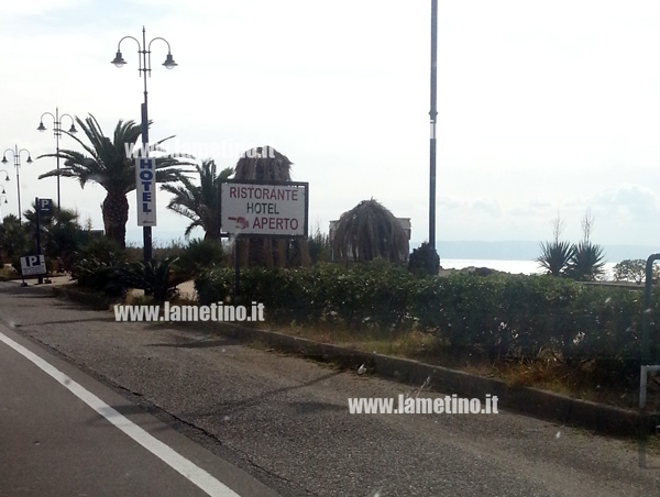 Palme-falerna.jpg