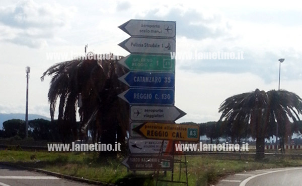 Palme-punteruolo-ter.jpg