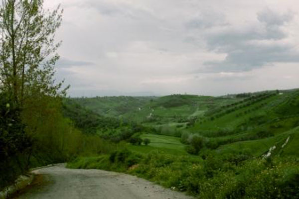 Panorama_binario-francica_f8662.jpg