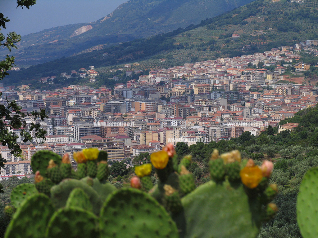 "Lamezia in Fiore", il nuovo contest fotografico di Igers