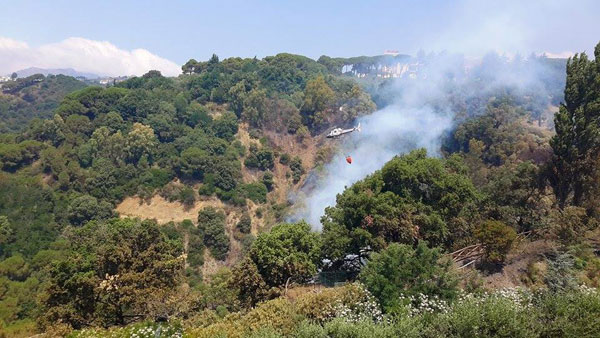 Incendio al Parco della Biodiversità Mediterranea