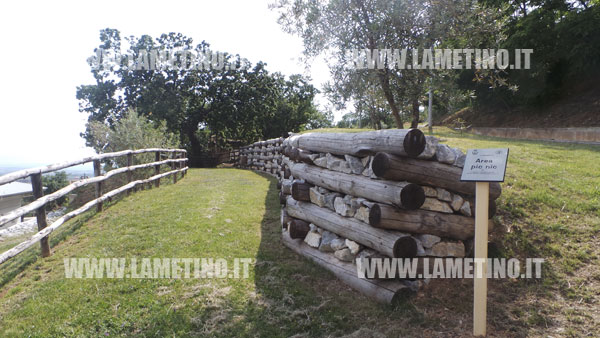 Parco-gancia-area-pic-nic.jpg