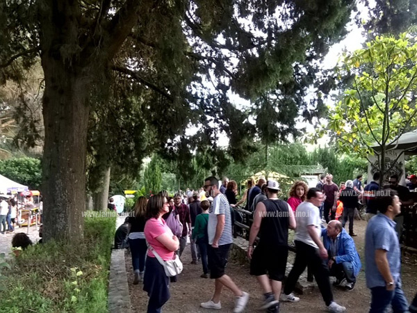 Parco-in-Fermento_4.jpg