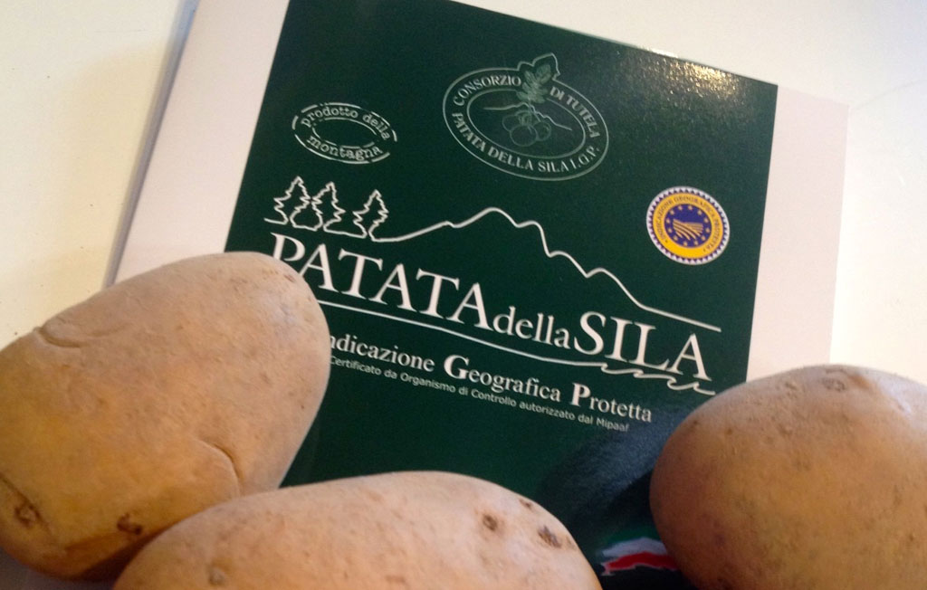 Consorzio Patata silana: ratifica accordo Ceta grave pericolo