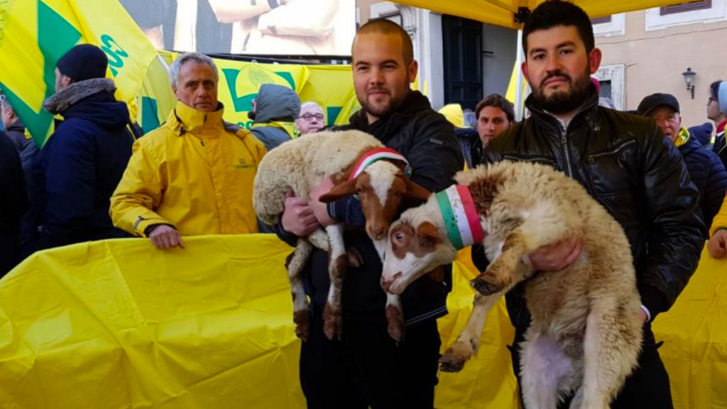 Coldiretti: Sos pastori, domani a Reggio Calabria arriva il primo Pecorino Day