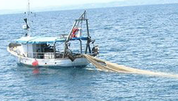 Fai Cisl Calabria: allargare Tavolo istituzionale anche a sindacati su settore pesca