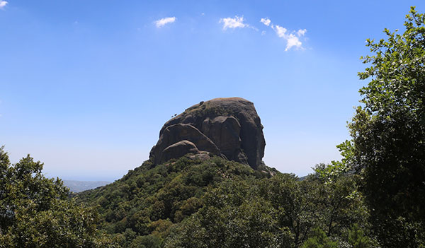 Parco Aspromonte continua percorso per candidatura ad Unesco