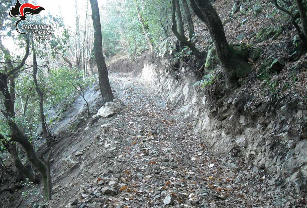 Realizza abusivamente pista  in bosco comunale, denunciato nel crotonese
