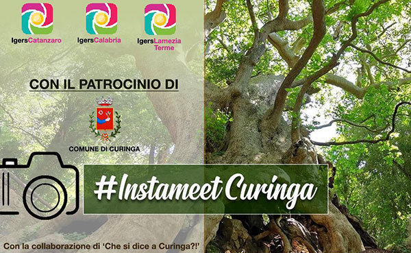 Igers calabresi alla scoperta del Platano Millenario di Curinga e dell’Eremo di Sant’Elia sabato 20 febbraio