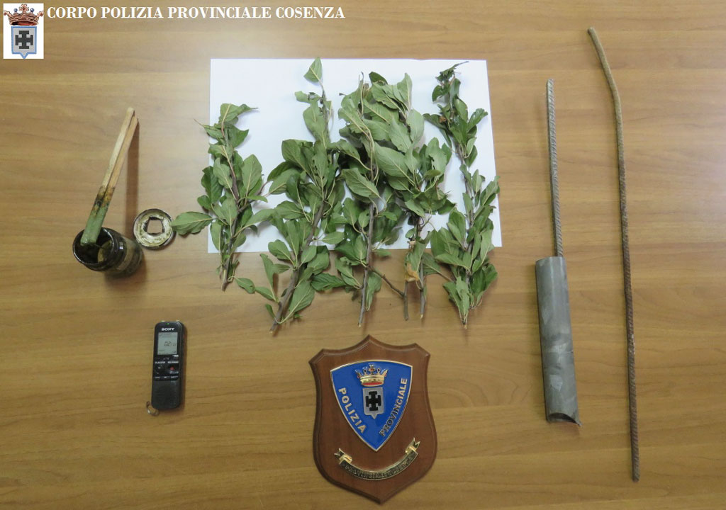 Scoperto uccellatore di cardellini a San Giovanni in Fiore, multato