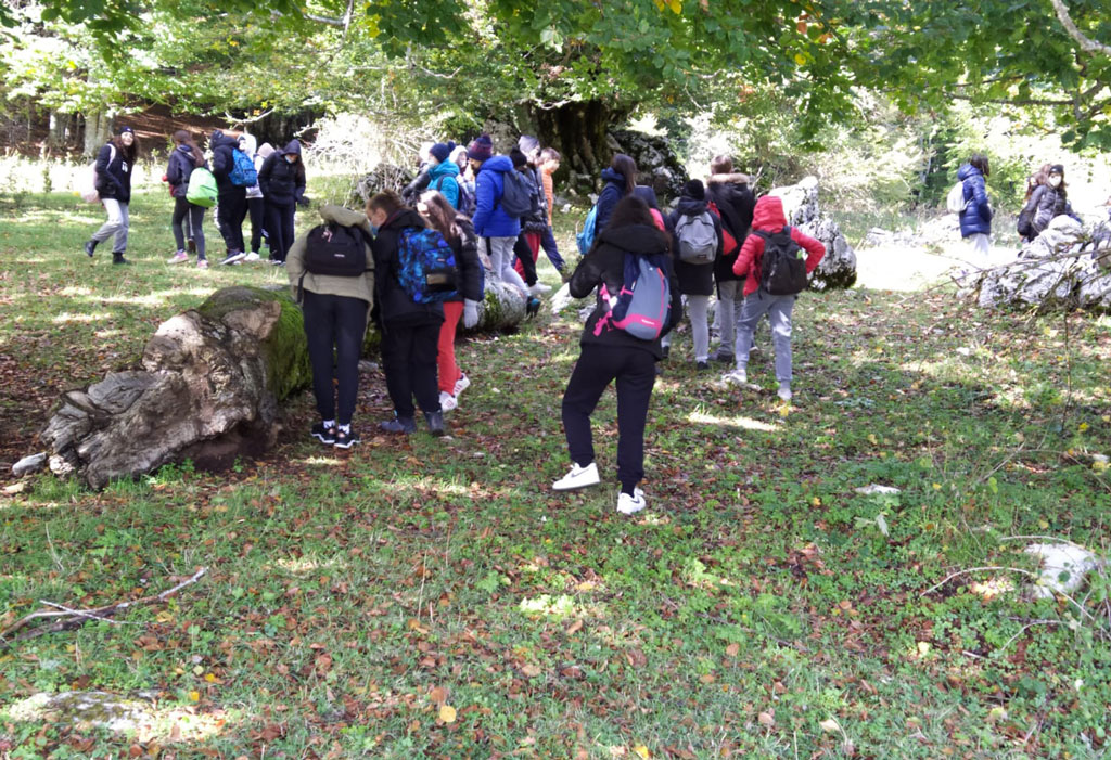 Pollino-1_c6606.jpg