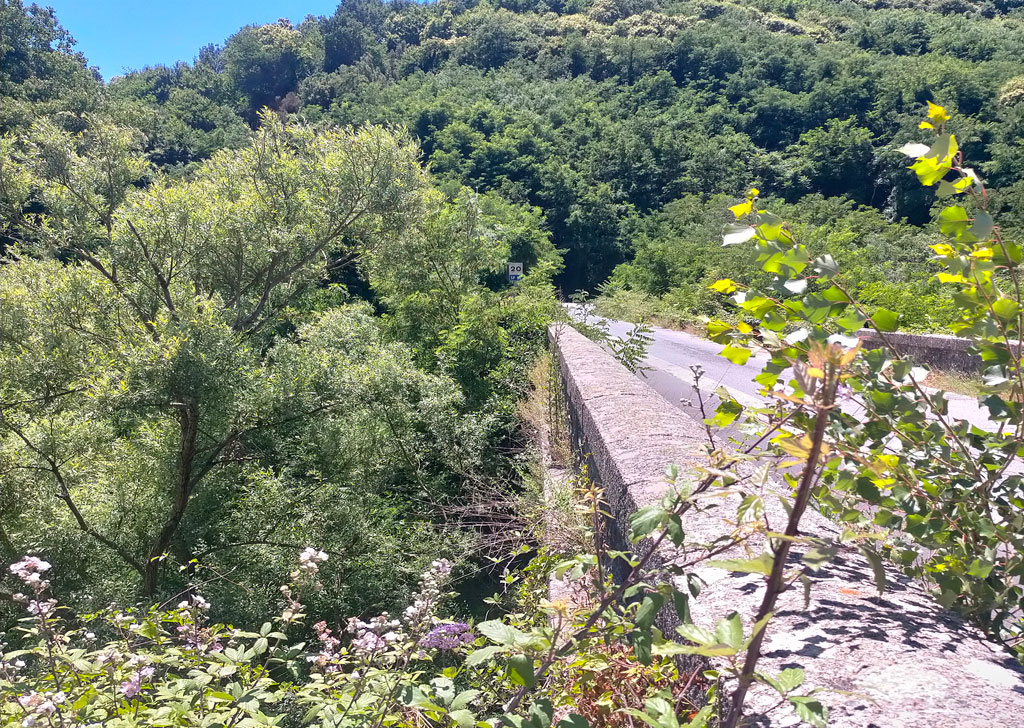 Ponte-del-Soldato-SP93_d7b29.jpg