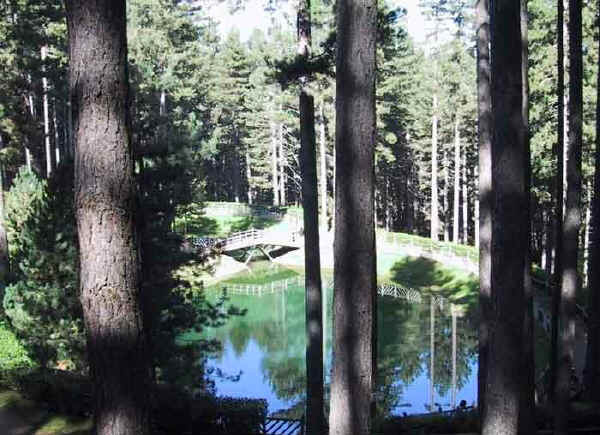 RiservAmica, alla scoperta di 5 "tesori verdi" 