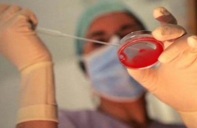 Procreazione assistita, in Calabria nascite poco più dell'1% 