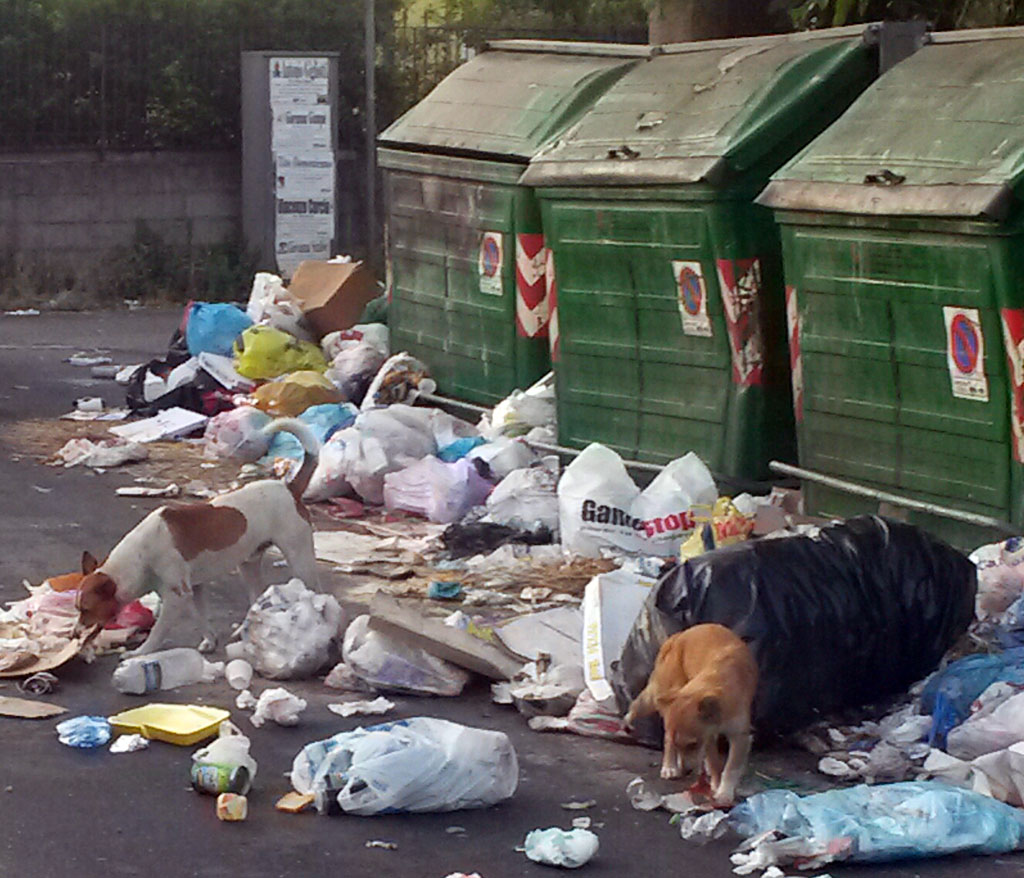 Quartiere-capizzaglie-rifiuti-luglio-2015-2.jpg