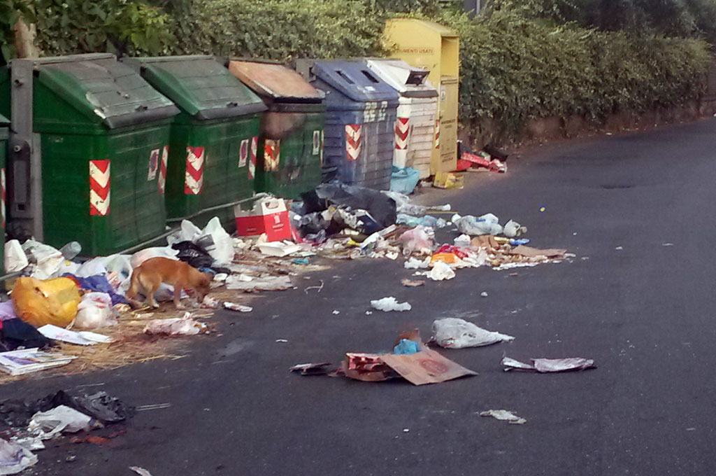 Quartiere-capizzaglie-rifiuti-luglio-2015-3.jpg