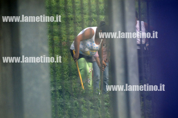 ROM--ULIVETO-commissariato10