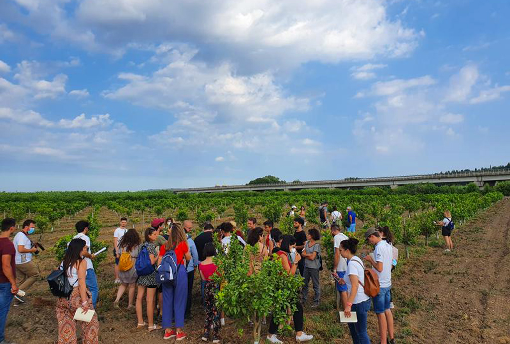 RuralCamp, all'iniziativa anche 15 studenti universitari calabresi