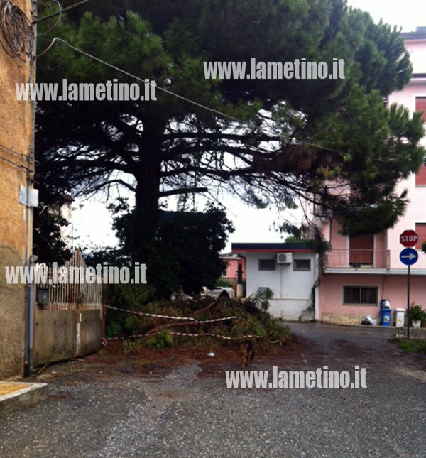 Lamezia: Rami lasciati dopo potatura ostruiscono passaggio strada