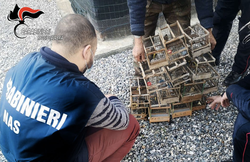Reggio-sequestro-29122020.jpg