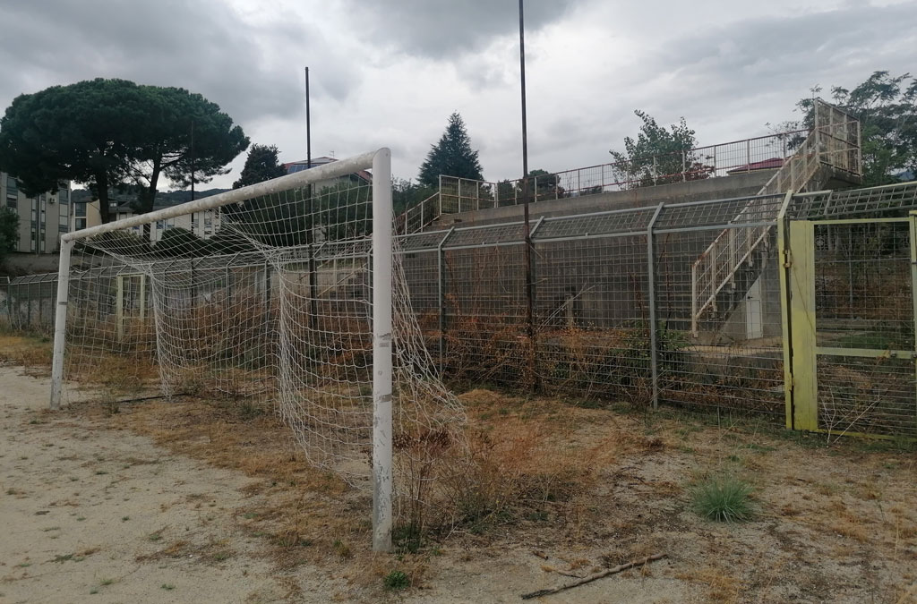 Remo-Provenzano.5_172258_b1d8e.jpg