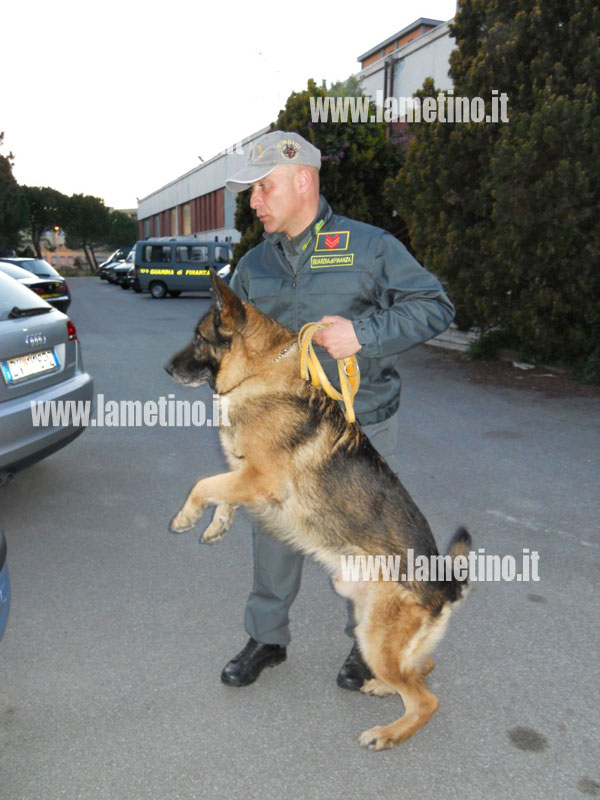 Lamezia: Resoconto della Guardia di Finanza sul contrasto al traffico di stupefacenti
