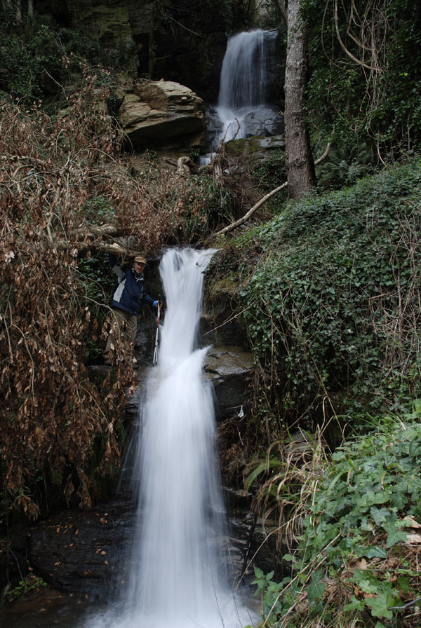 Reventino-Mancuso.-Fiumarella-di-Ievoli-Feroleto.-Foto-F.-Bevilacqua.jpg