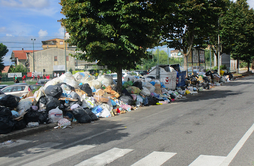 Rifiuti-lamezia-9-settemrbe-2019-10.jpg