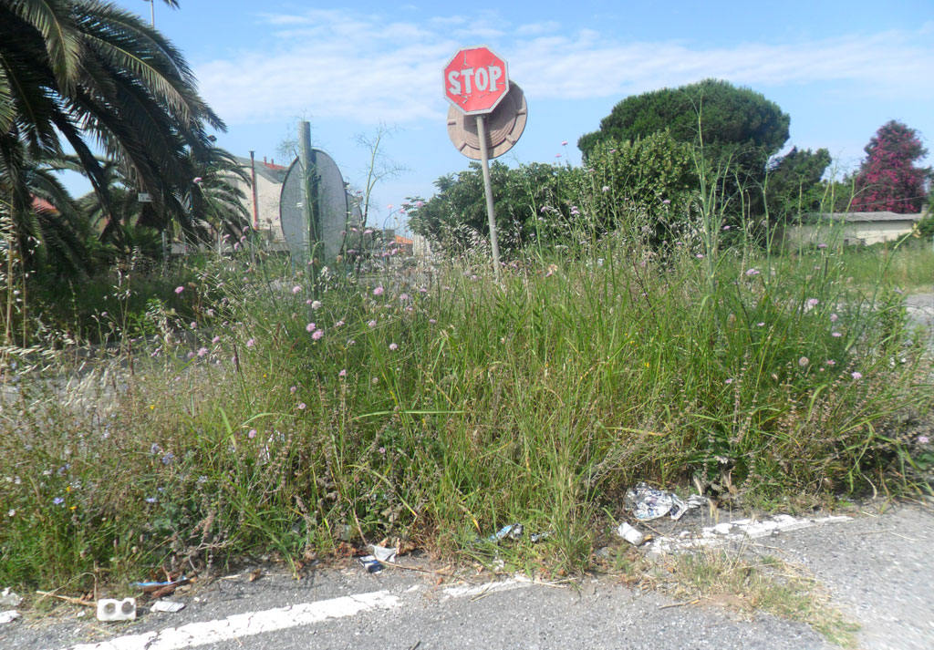  Lamezia, Associazione Quartiere Capizzaglie: “In oasi verdi vige situazione di totale abbandono”