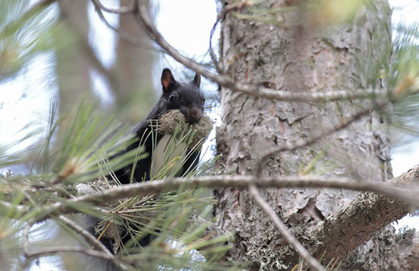 Parco dell’Aspromonte, tre giorni di eventi tra natura e lettura