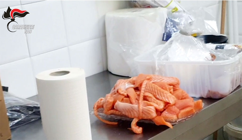 Nas sequestrano 500 chili di pesce per sushi infestato da insetti in un ristorante a Reggio Calabria- VIDEO