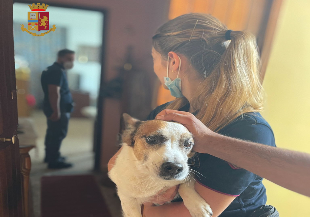Fiamme in stabile a Reggio, salvati inquilini e animali domestici