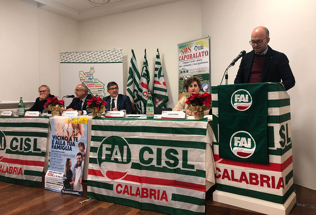 Sapia (Fai Cisl): “Non tollerabile taglio fondi in Finanziaria per settore forestale calabrese” 