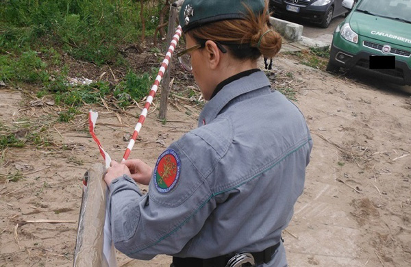 Sequestrato un bosco tagliato illecitamente a Crotone