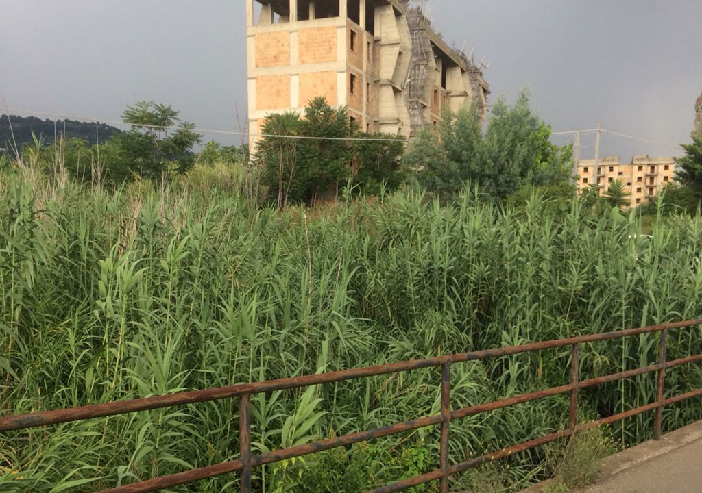 Spatara (AI): “Incuria e degrado torrente Cantagalli a Savutano, si intervenga”