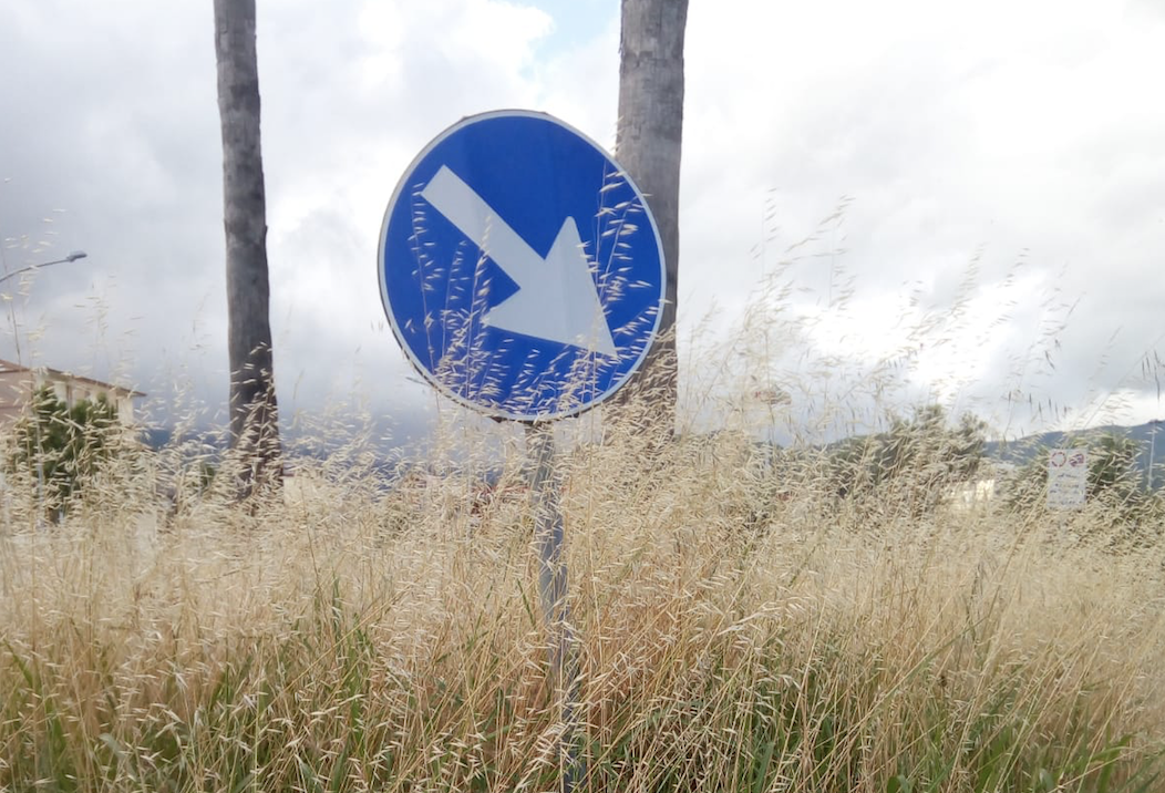 Lamezia, Italia Nostra: "Emergenza erbacce nelle rotatorie e ai bordi delle strade"